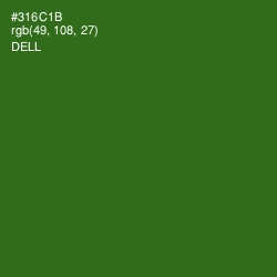 #316C1B - Dell Color Image