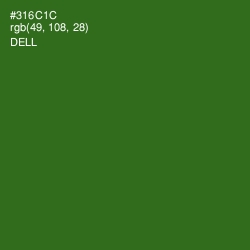#316C1C - Dell Color Image