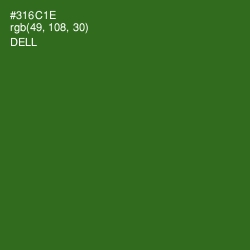 #316C1E - Dell Color Image