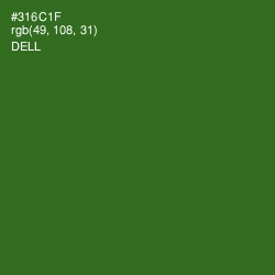 #316C1F - Dell Color Image