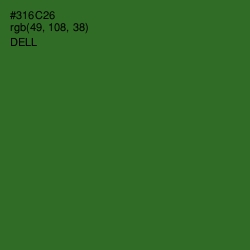 #316C26 - Dell Color Image