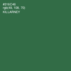 #316C46 - Killarney Color Image