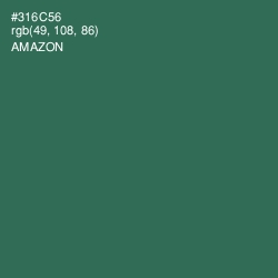 #316C56 - Amazon Color Image