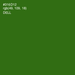 #316D12 - Dell Color Image