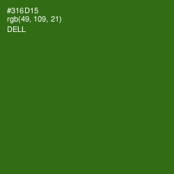 #316D15 - Dell Color Image