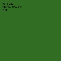 #316D22 - Dell Color Image