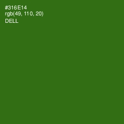 #316E14 - Dell Color Image