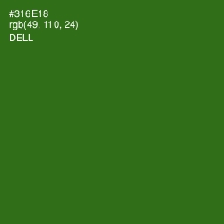 #316E18 - Dell Color Image