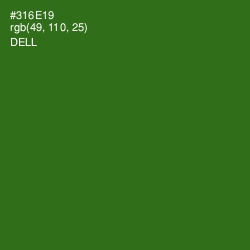 #316E19 - Dell Color Image