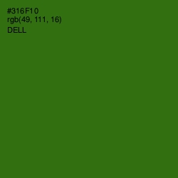 #316F10 - Dell Color Image