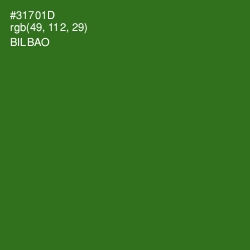#31701D - Bilbao Color Image