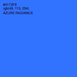 #3173FE - Azure Radiance Color Image