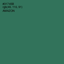 #31745B - Amazon Color Image