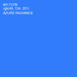#317CFB - Azure Radiance Color Image
