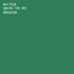 #317E5A - Amazon Color Image