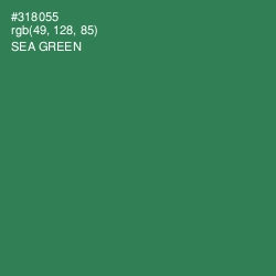 #318055 - Sea Green Color Image