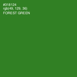 #318124 - Forest Green Color Image