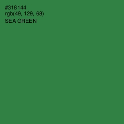 #318144 - Sea Green Color Image