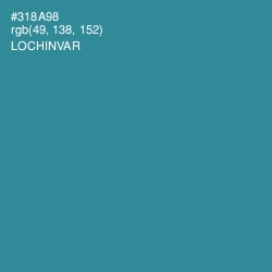 #318A98 - Lochinvar Color Image