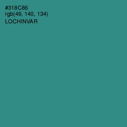 #318C86 - Lochinvar Color Image