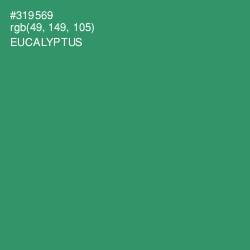 #319569 - Eucalyptus Color Image