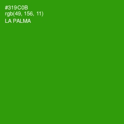 #319C0B - La Palma Color Image