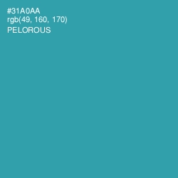 #31A0AA - Pelorous Color Image