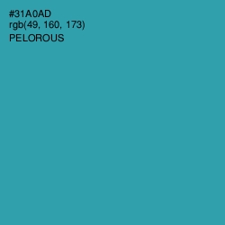 #31A0AD - Pelorous Color Image