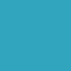 #31A5BD - Pelorous Color Image