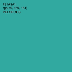 #31A9A1 - Pelorous Color Image