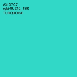 #31D7C7 - Turquoise Color Image