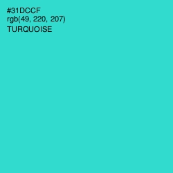 #31DCCF - Turquoise Color Image