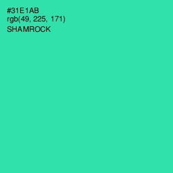 #31E1AB - Shamrock Color Image