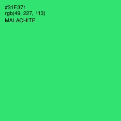 #31E371 - Malachite Color Image