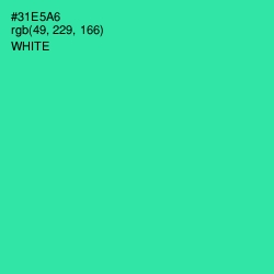 #31E5A6 - Shamrock Color Image