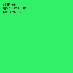 #31F168 - Malachite Color Image
