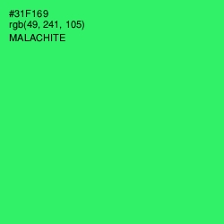#31F169 - Malachite Color Image