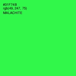 #31F74B - Malachite Color Image