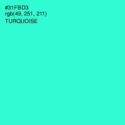 #31FBD3 - Turquoise Color Image