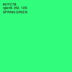 #31FC7B - Spring Green Color Image