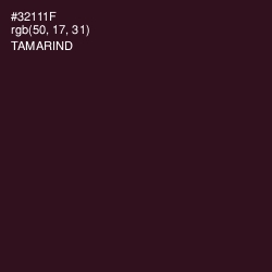 #32111F - Tamarind Color Image