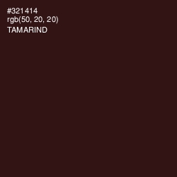 #321414 - Tamarind Color Image