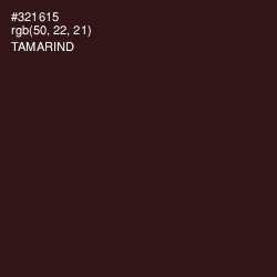 #321615 - Tamarind Color Image