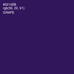 #32165B - Grape Color Image