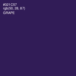#321C57 - Grape Color Image