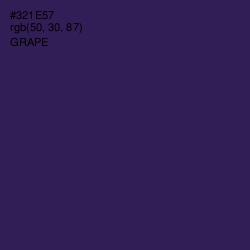 #321E57 - Grape Color Image