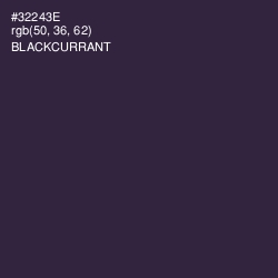 #32243E - Blackcurrant Color Image