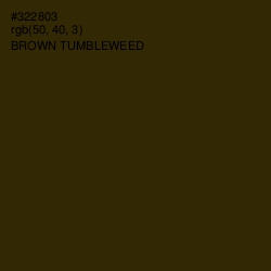 #322803 - Brown Tumbleweed Color Image