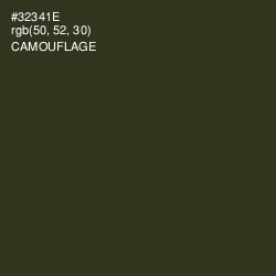 #32341E - Camouflage Color Image