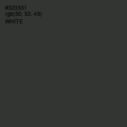 #323531 - Mine Shaft Color Image
